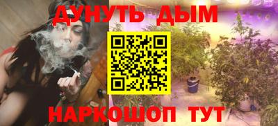 PSILOCYBIN Камышлов