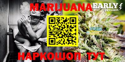 PSILOCYBIN Камышлов