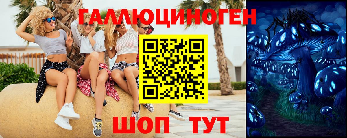 Галлюциногенные грибы Psilocybe  продажа наркотиков  Корсаков  Вход с VPN 